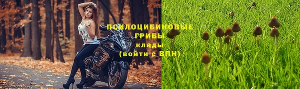 скорость Алексин