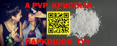 амф Кингисепп