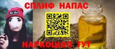 амф Кингисепп