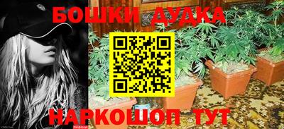 амф Кингисепп
