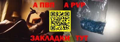 амф Кингисепп