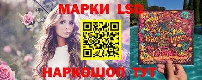 амф Кингисепп
