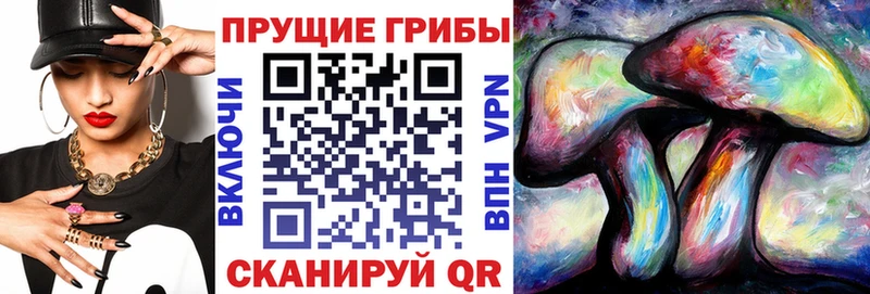 Галлюциногенные грибы Psilocybine cubensis  купить наркотик  Ижевск 