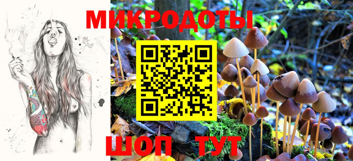 Ижевск  Псилоцибиновые грибы Magic Shrooms  Вход с VPN 